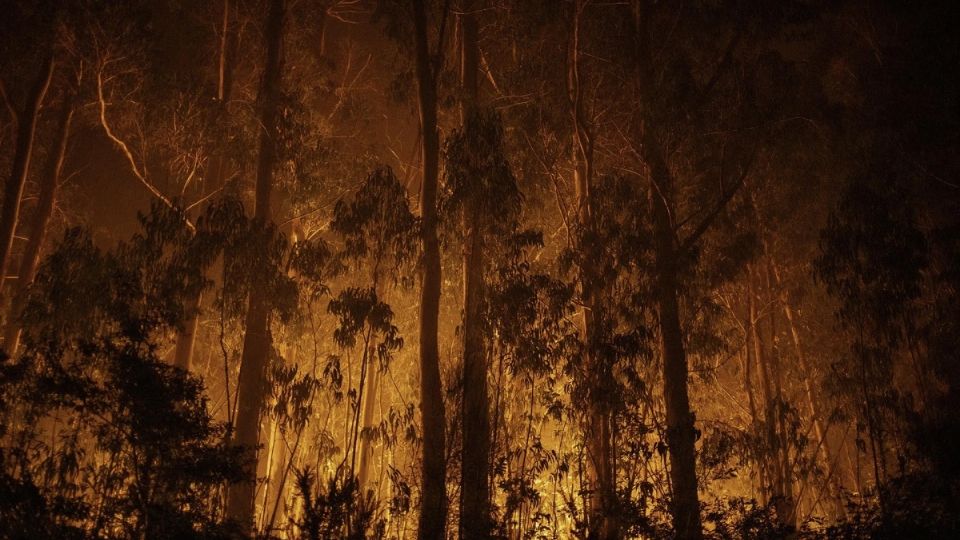 En Francia, los servicios de extinción combatían, hasta hoy, un total de 32 incendios forestales activos