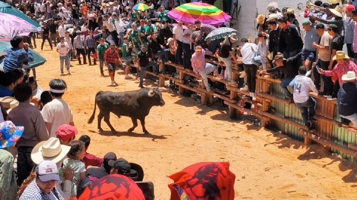 Santiagada 2026 reúne a 20 mil visitantes y cierra con saldo blanco | VIDEO