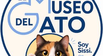 Museo del Gato en CDMX: cuándo abre, dónde está ubicado y todo lo que debes saber