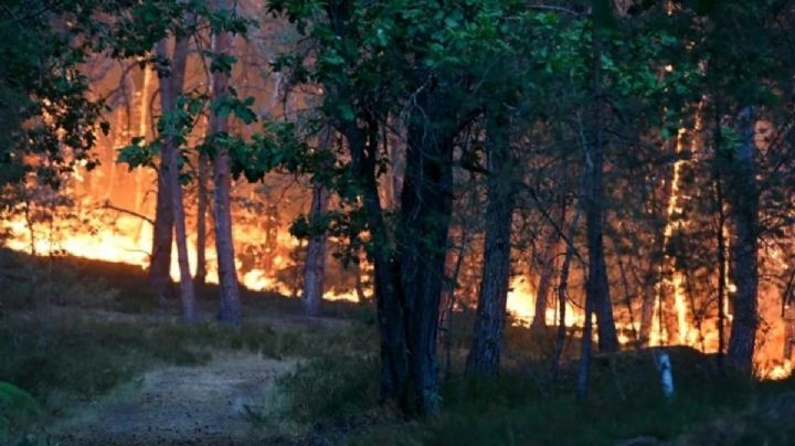 Madrid, en alerta máxima por incendios forestales en el centro de España
