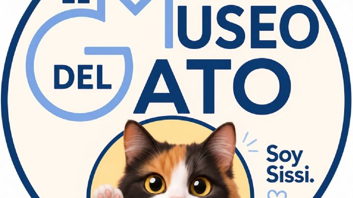 Museo del Gato en CDMX: cuándo abre, dónde está ubicado y todo lo que debes saber