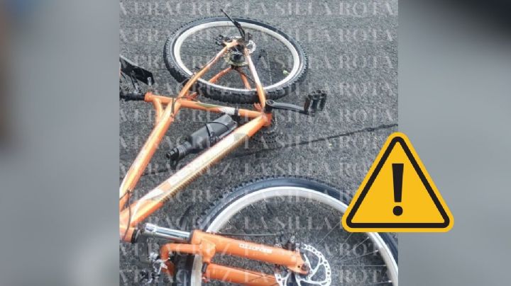 Buscan a familia de perrito que murió tras accidente en calle Ignacio de la Llave en Xalapa