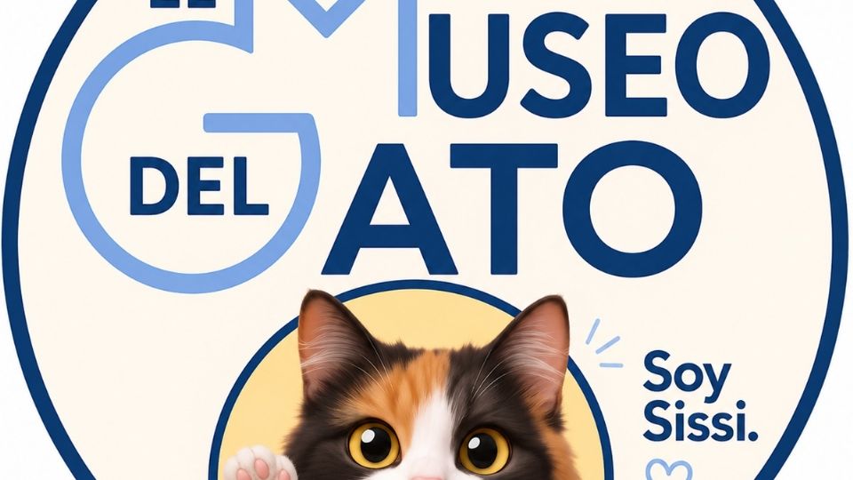 Reconocido por impulsar el primer cat café de América Latina