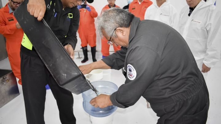 Liberan en Chihuahua primer lote de moscas estériles para contener gusano barrenador
