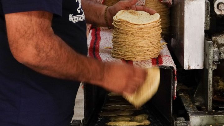 México reduce la inseguridad alimentaria: 8.6 millones dejaron esa condición, según la FAO