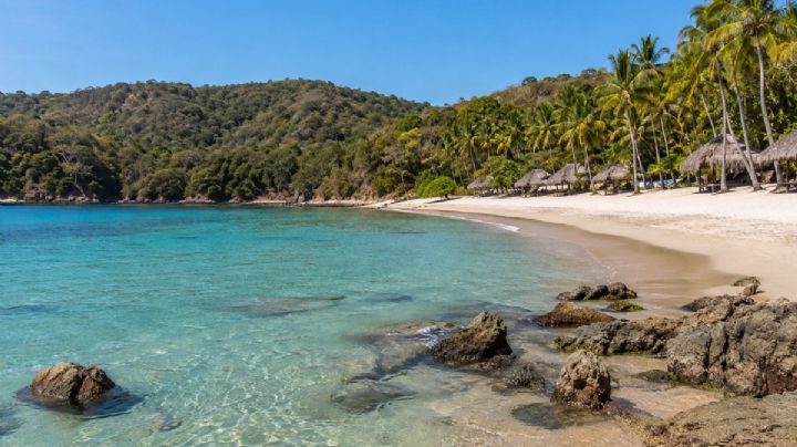 Tenacatita, la playa de Jalisco con aguas tranquilas, manglares y un acuario natural