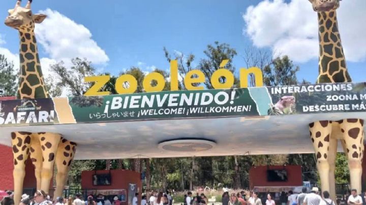 Les quitan vales de despensa a trabajadores del Zoológico de León