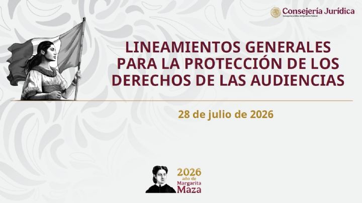 Lineamientos Generales para la Protección de las Audiencias