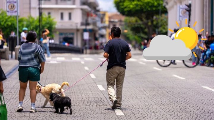 Así estará el clima en Xalapa este 30 de julio previo a aumento de lluvias