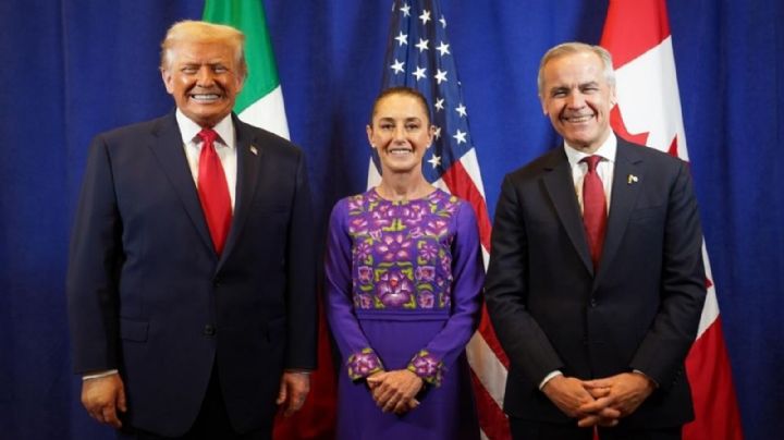 La hora de la diversificación
