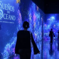 Así puedes obtener un boleto gratis para visitar Blumia en Plaza Acuario de Veracruz