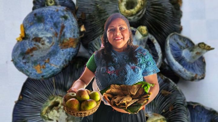 Acaxochitlán apuesta por las nanacateras para fortalecer el turismo micológico responsable