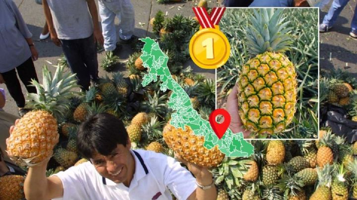 Este es el municipio de Veracruz que produce más piña de todo México