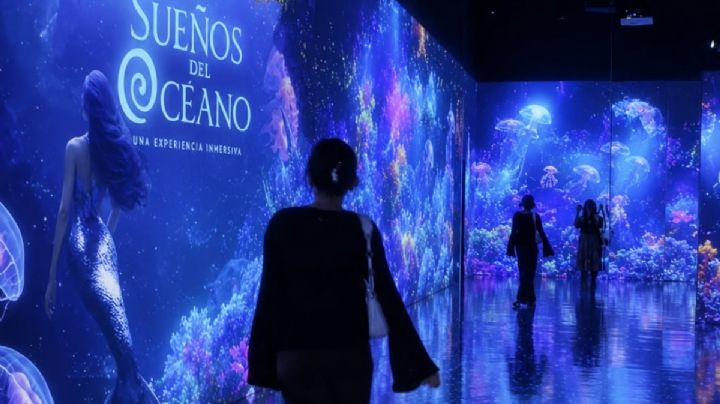 Así puedes obtener un boleto gratis para visitar Blumia en Plaza Acuario de Veracruz