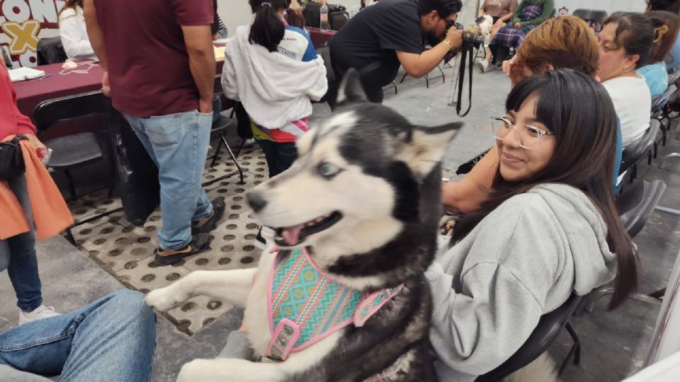 Hay ocho lomitos en el CAIV, listos para ser adoptados