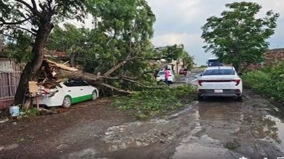 Daños después de la tormenta de ayer en Salamanca.