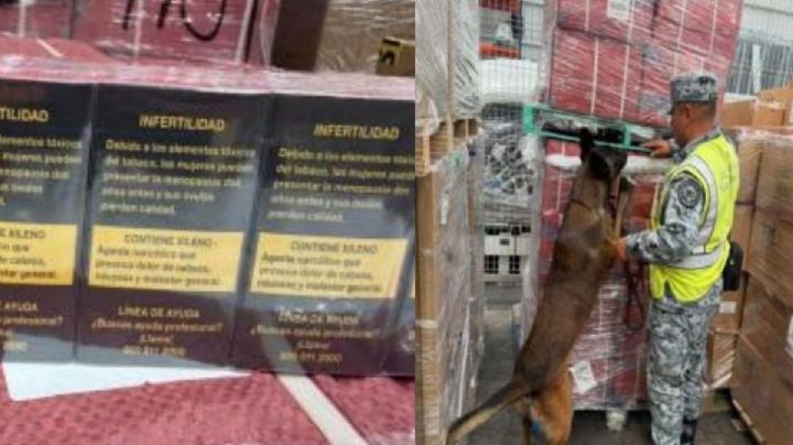 Cigarros pirata: decomisan 84 mil en el AIFA; cargamento llegó desde Bélgica