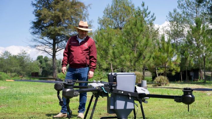 Con tecnología de drones, Michoacán dispersará 200 mil semillas forestales
