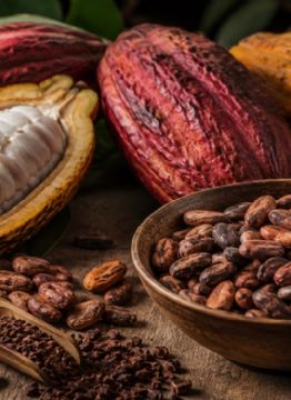 Foto descriptiva de: ¿Por qué el cacao fue llamado "el alimento de los dioses"? La historia detrás de su nombre