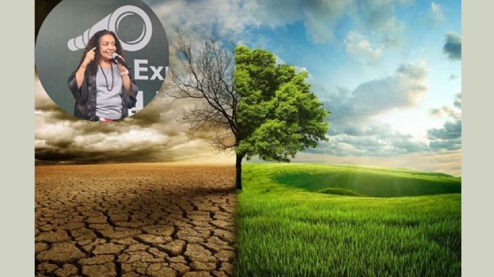 Investigadora exhorta a actuar frente al cambio climático