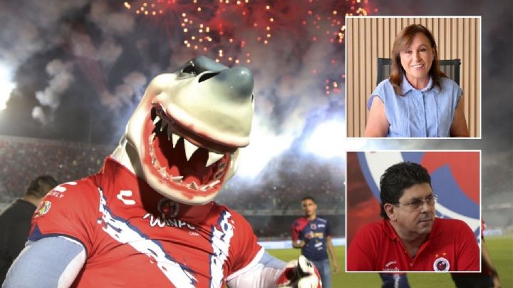 Rocío Nahle insiste en revivir a los Tiburones Rojos de Veracruz; buscará a Kuri
