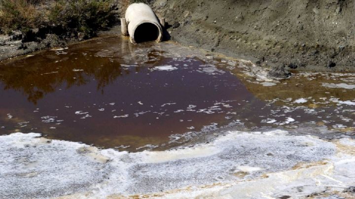 Estos son los nuevos delitos y las sanciones por daños ambientales en Veracruz