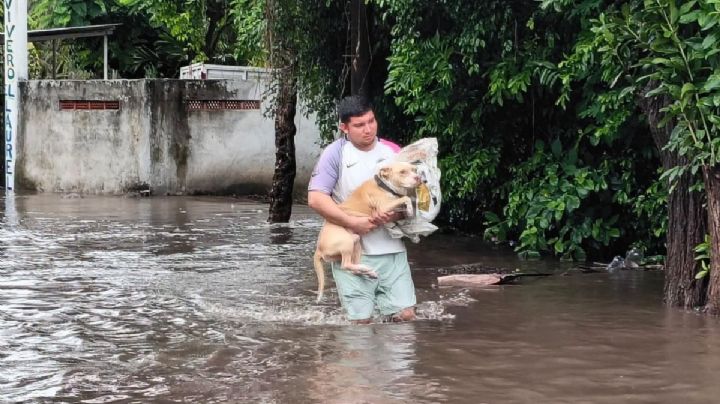 60 casas afectadas tras desbordamiento del Río Tolomé en este municipio de Veracruz