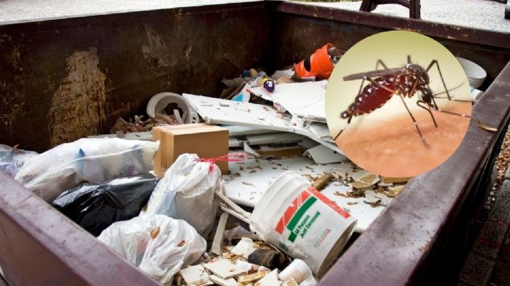 Con descacharrización, buscan disminuir casos de dengue y paludismo en Coatzacoalcos