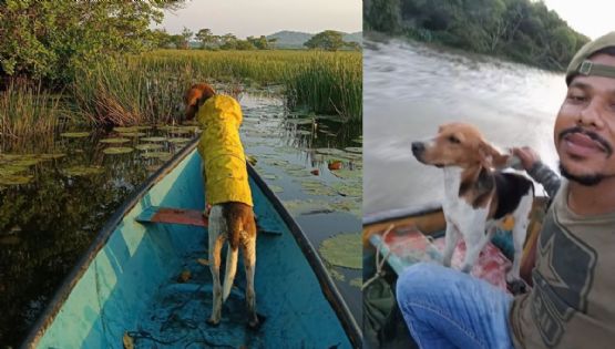 Loco, el perro pescador de Alvarado que acompaña a su dueño en lancha