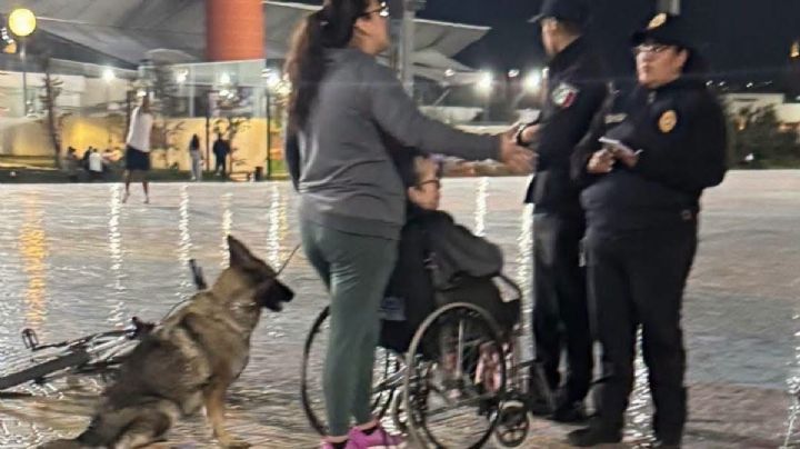 Perro muerde a una adolescente en el parque David Ben-Gurión de Pachuca | VIDEO
