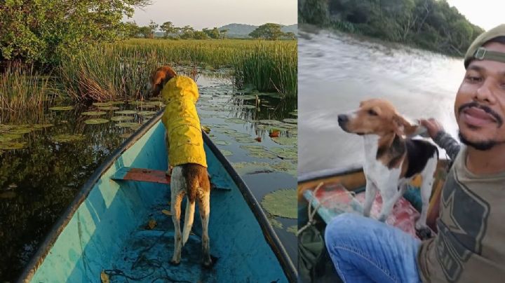 Loco, el perro pescador de Alvarado que acompaña a su dueño en lancha