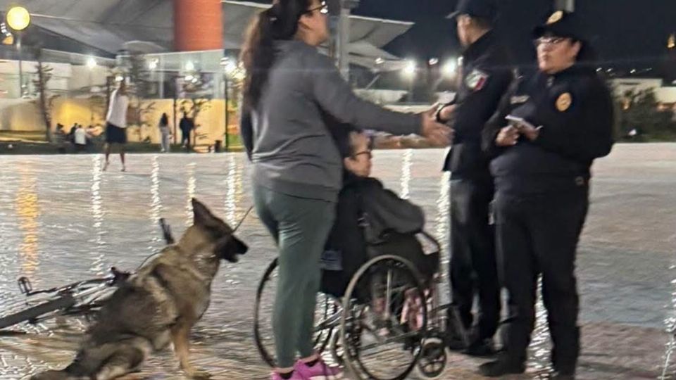 La mujer se excusó sobre los actos de su perro