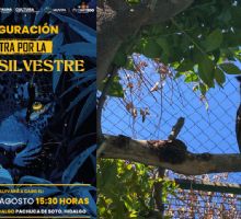 Presentan obras de quince artistas en pro de la fauna silvestre