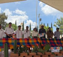 Habrá barbacoa gratis de cien borregos en Dajiedhi, Actopan