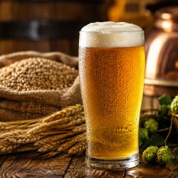 Día de la Cerveza 2026: desmintiendo los mitos sobre el alcohol y la hidratación