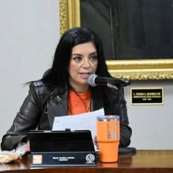 Cambio de perfiles para órganos de control no fue informado a legisladores: diputada Karla Perales