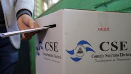Foto que representa a Diez países de la OEA preocupados por Nicaragua piden respetar elecciones libres