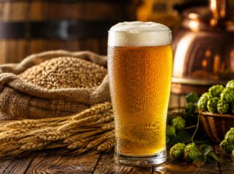 Día de la Cerveza 2026: desmintiendo los mitos sobre el alcohol y la hidratación