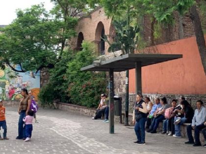 Crece un nopal en el techo de una parada de camión en Guanajuato
