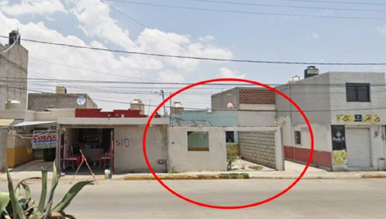 Alertan por abandono de perros en Mineral de la Reforma; por falta de comida se atacan