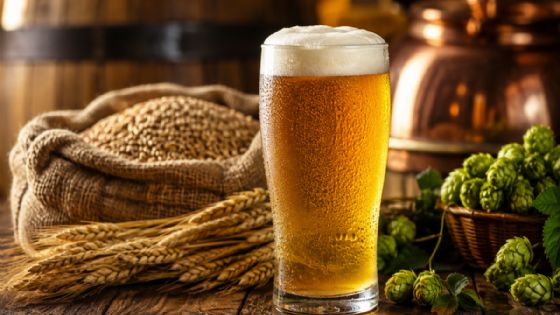Día de la Cerveza 2026: desmintiendo los mitos sobre el alcohol y la hidratación