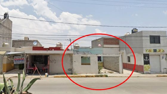 Alertan por abandono de perros en la Reforma; se atacan por falta de comida