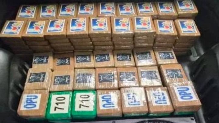 Aseguran 217 kilos de cocaína ocultos en un auto en Tlalpan; hay 1 detenido
