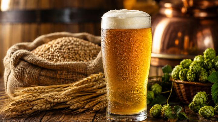 Día de la Cerveza 2026: desmintiendo los mitos sobre el alcohol y la hidratación