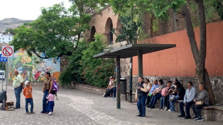 Crece un nopal en el techo de una parada de camión en Guanajuato