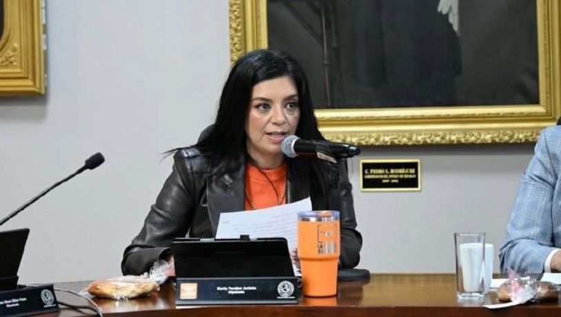 Cambio de perfiles para órganos de control no fue informado a legisladores: diputada